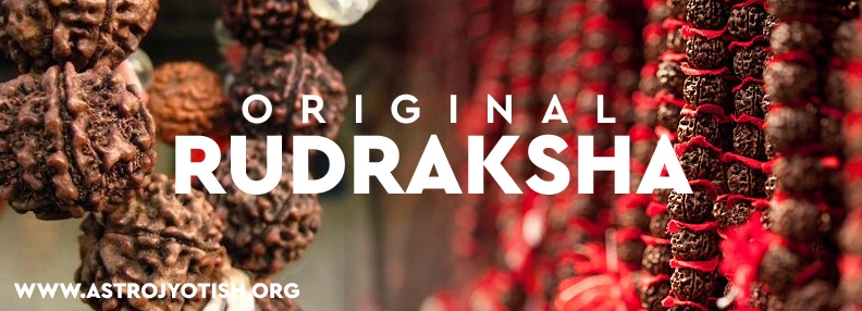 rudraksha-banner